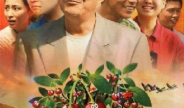 电视剧 樱桃,爱与复仇的交织